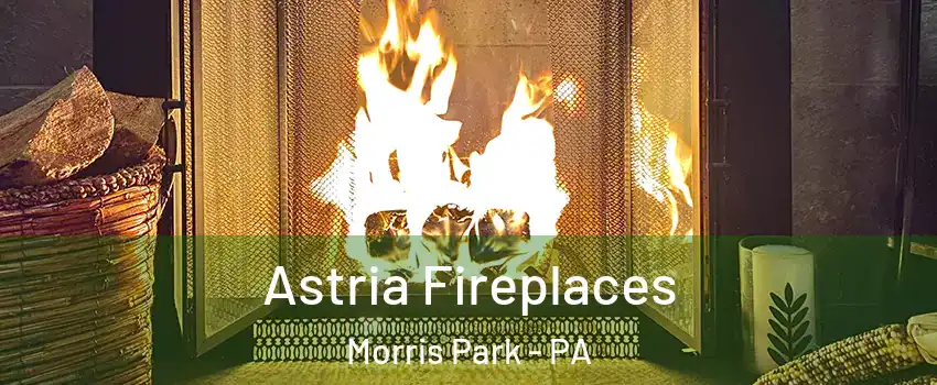 Astria Fireplaces Morris Park - PA