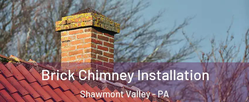 Brick Chimney Installation Shawmont Valley - PA