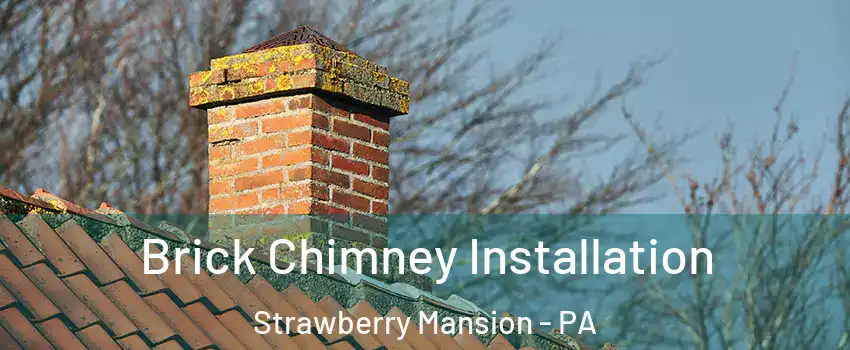 Brick Chimney Installation Strawberry Mansion - PA