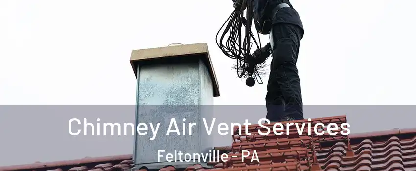 Chimney Air Vent Services Feltonville - PA