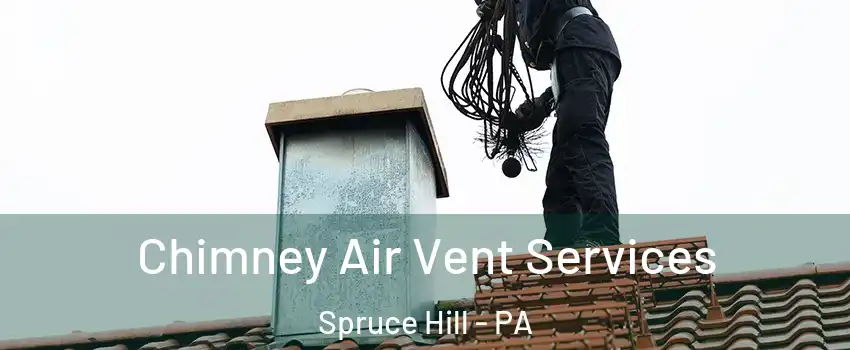 Chimney Air Vent Services Spruce Hill - PA