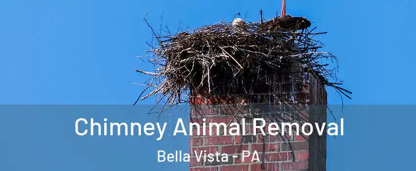 Chimney Animal Removal Bella Vista - PA