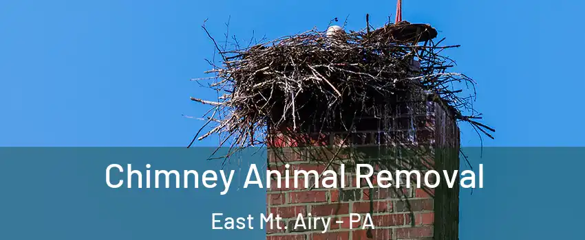 Chimney Animal Removal East Mt. Airy - PA