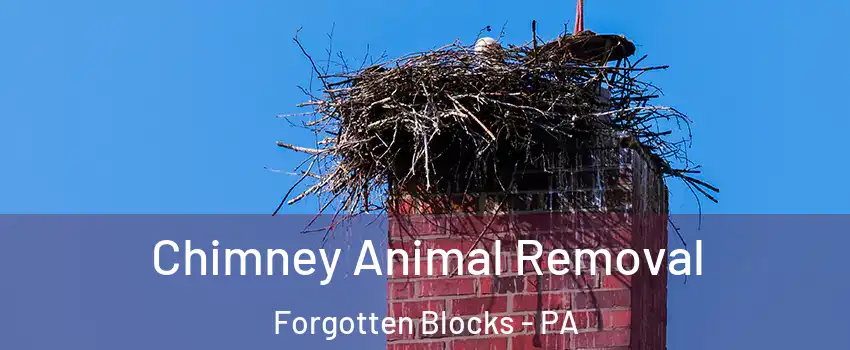 Chimney Animal Removal Forgotten Blocks - PA