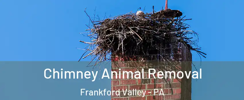 Chimney Animal Removal Frankford Valley - PA