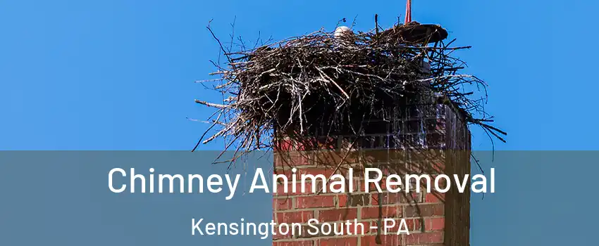 Chimney Animal Removal Kensington South - PA