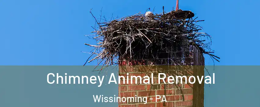 Chimney Animal Removal Wissinoming - PA