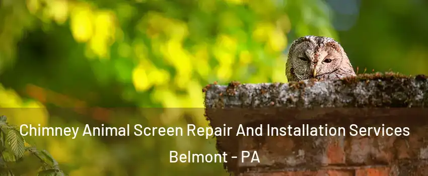 Chimney Animal Screen Repair And Installation Services Belmont - PA