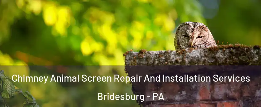 Chimney Animal Screen Repair And Installation Services Bridesburg - PA