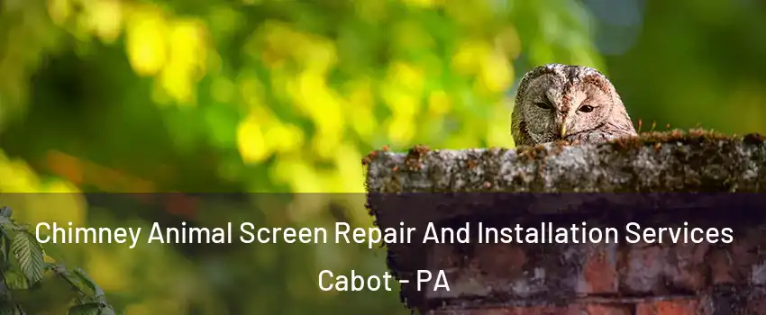 Chimney Animal Screen Repair And Installation Services Cabot - PA