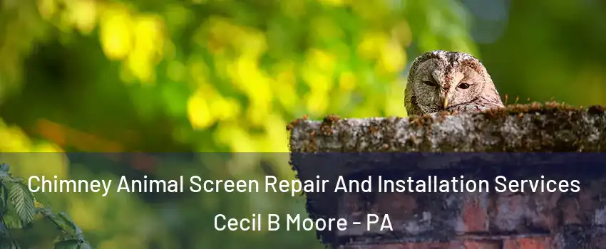 Chimney Animal Screen Repair And Installation Services Cecil B Moore - PA