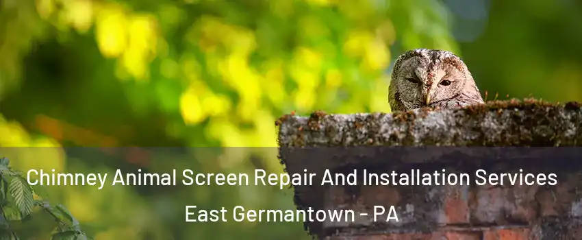 Chimney Animal Screen Repair And Installation Services East Germantown - PA