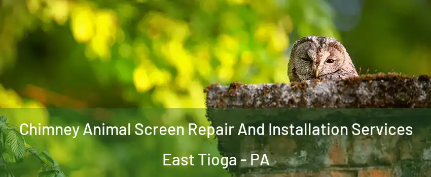 Chimney Animal Screen Repair And Installation Services East Tioga - PA