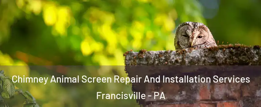 Chimney Animal Screen Repair And Installation Services Francisville - PA