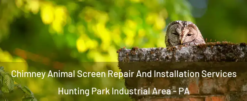 Chimney Animal Screen Repair And Installation Services Hunting Park Industrial Area - PA