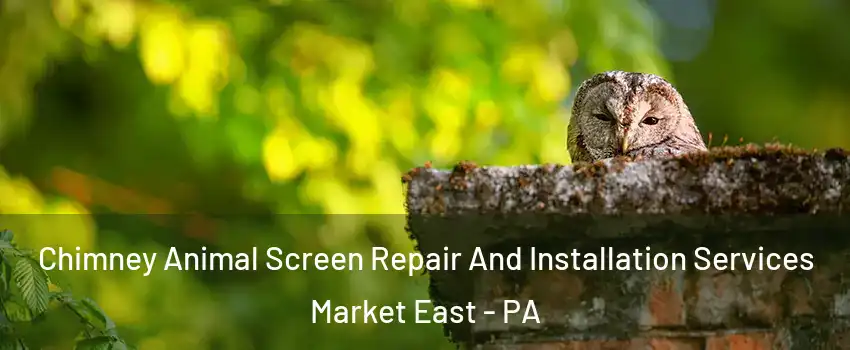 Chimney Animal Screen Repair And Installation Services Market East - PA