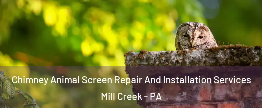 Chimney Animal Screen Repair And Installation Services Mill Creek - PA