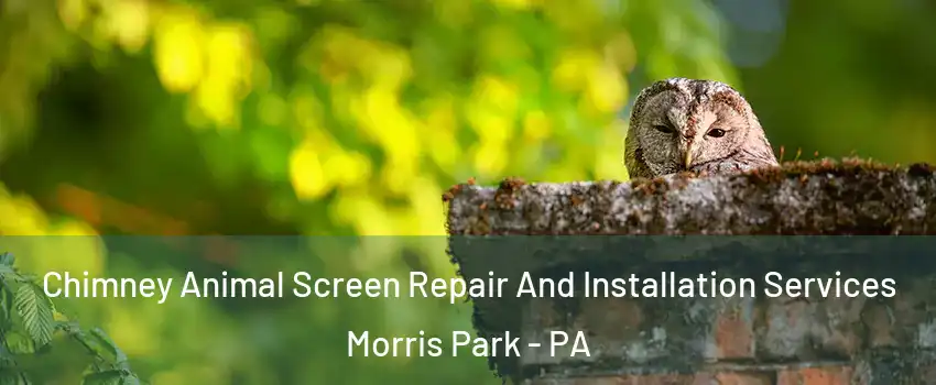 Chimney Animal Screen Repair And Installation Services Morris Park - PA