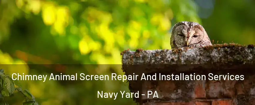 Chimney Animal Screen Repair And Installation Services Navy Yard - PA