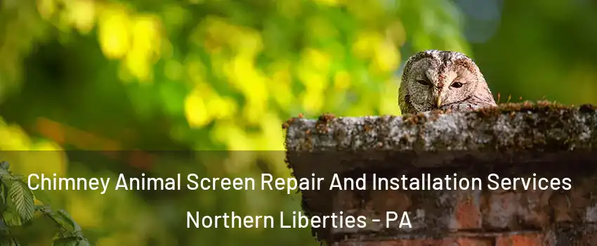 Chimney Animal Screen Repair And Installation Services Northern Liberties - PA