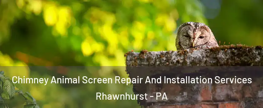 Chimney Animal Screen Repair And Installation Services Rhawnhurst - PA