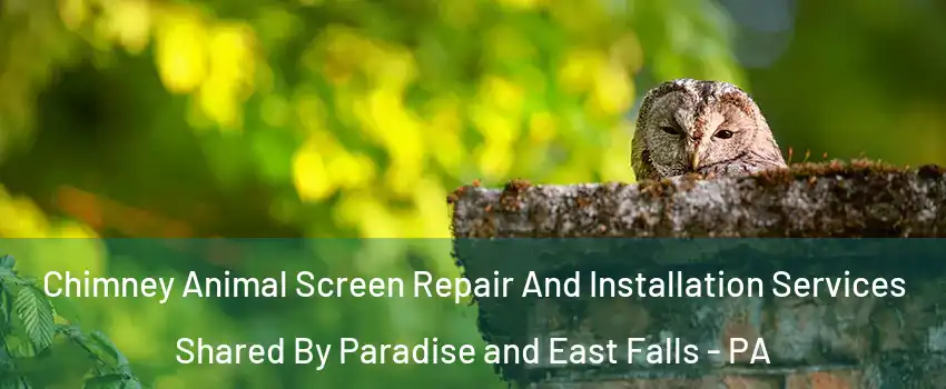 Chimney Animal Screen Repair And Installation Services Shared By Paradise and East Falls - PA