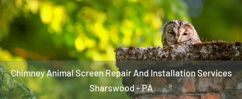 Chimney Animal Screen Repair And Installation Services Sharswood - PA