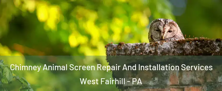 Chimney Animal Screen Repair And Installation Services West Fairhill - PA