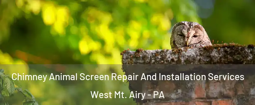 Chimney Animal Screen Repair And Installation Services West Mt. Airy - PA