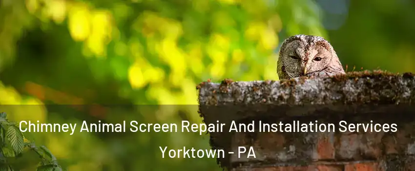 Chimney Animal Screen Repair And Installation Services Yorktown - PA