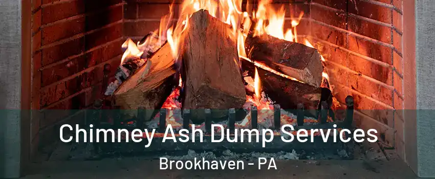 Chimney Ash Dump Services Brookhaven - PA