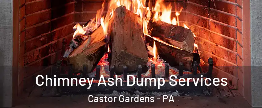 Chimney Ash Dump Services Castor Gardens - PA