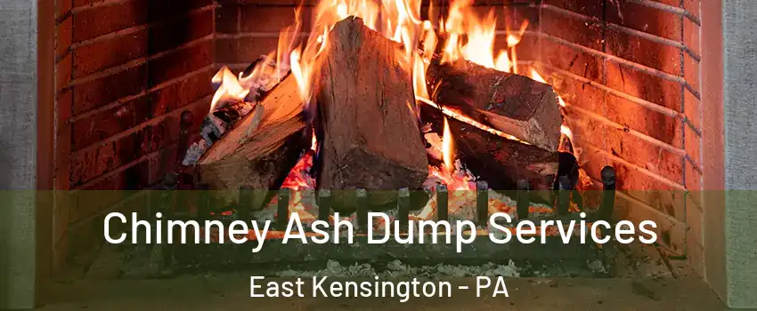 Chimney Ash Dump Services East Kensington - PA