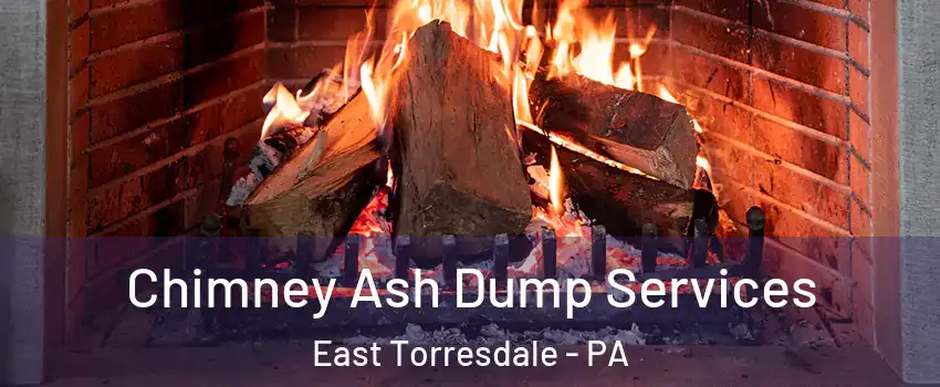 Chimney Ash Dump Services East Torresdale - PA