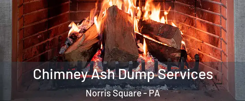 Chimney Ash Dump Services Norris Square - PA