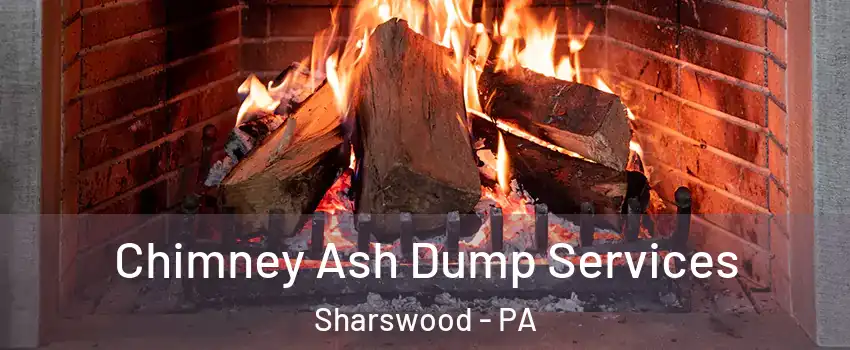 Chimney Ash Dump Services Sharswood - PA