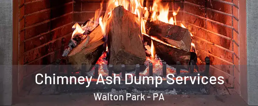 Chimney Ash Dump Services Walton Park - PA