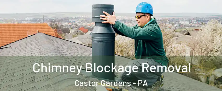 Chimney Blockage Removal Castor Gardens - PA