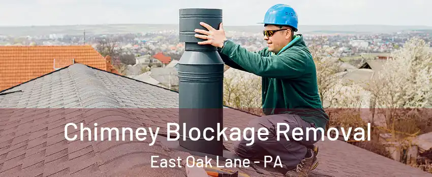 Chimney Blockage Removal East Oak Lane - PA