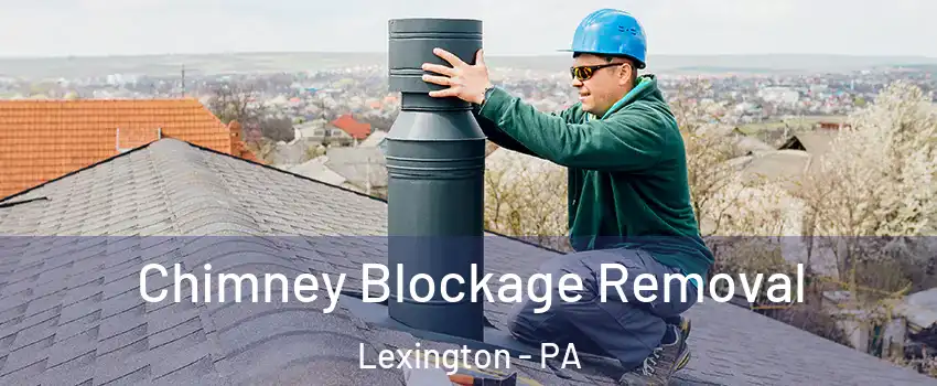 Chimney Blockage Removal Lexington - PA