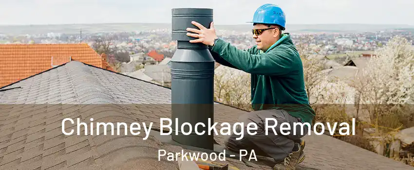 Chimney Blockage Removal Parkwood - PA