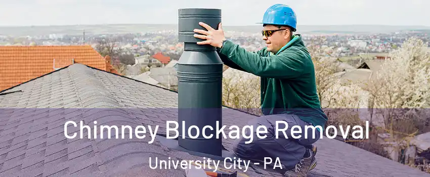 Chimney Blockage Removal University City - PA