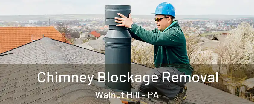 Chimney Blockage Removal Walnut Hill - PA