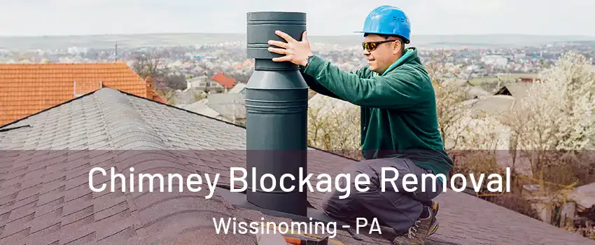 Chimney Blockage Removal Wissinoming - PA