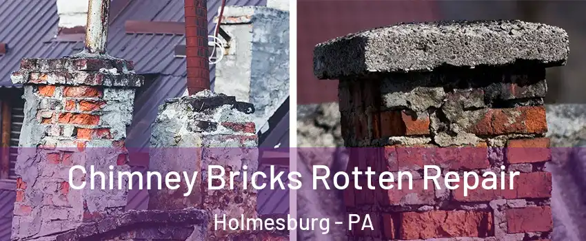 Chimney Bricks Rotten Repair Holmesburg - PA