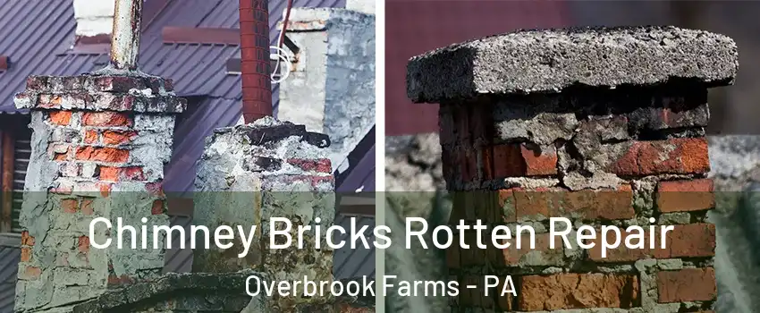 Chimney Bricks Rotten Repair Overbrook Farms - PA