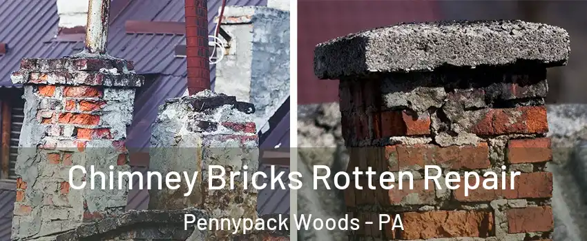 Chimney Bricks Rotten Repair Pennypack Woods - PA