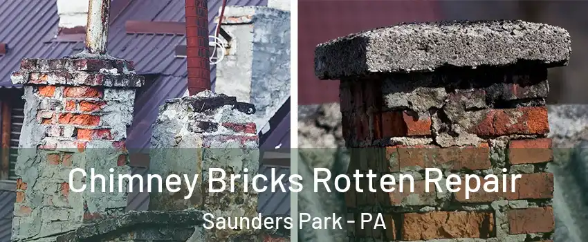 Chimney Bricks Rotten Repair Saunders Park - PA