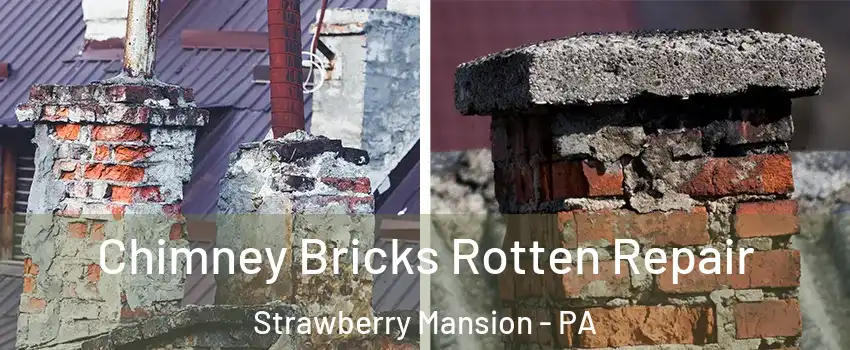 Chimney Bricks Rotten Repair Strawberry Mansion - PA