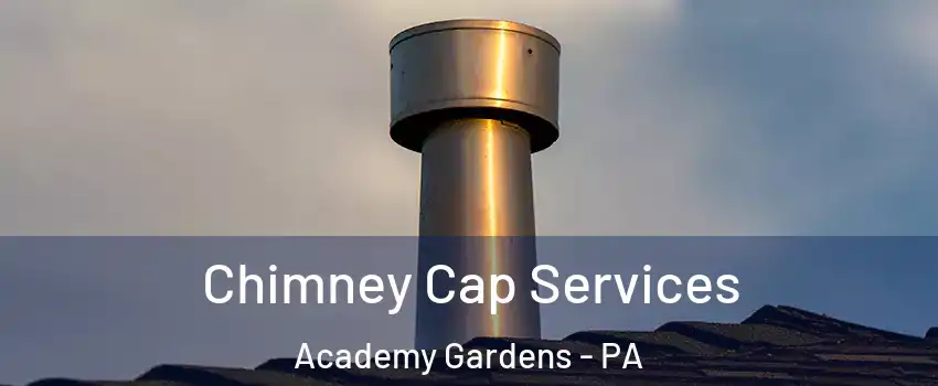 Chimney Cap Services Academy Gardens - PA